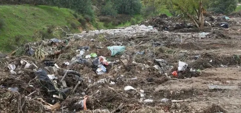 Buca’da doğa katliamı! Çevre Şehircilik Bakanlığı harekete geçti