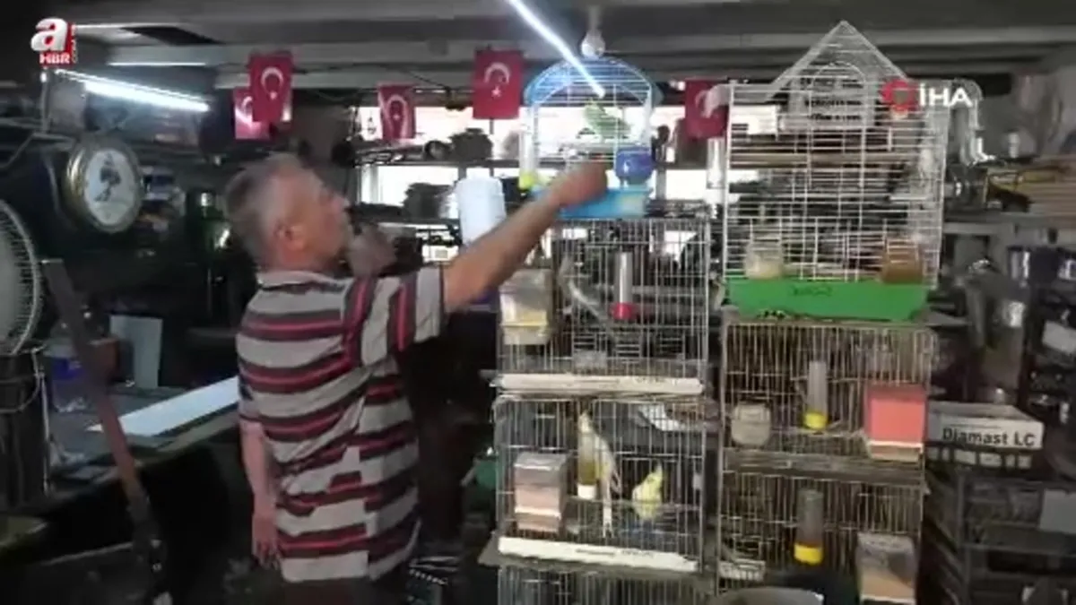 Soba ve mangal ustasının kuş sevgisi