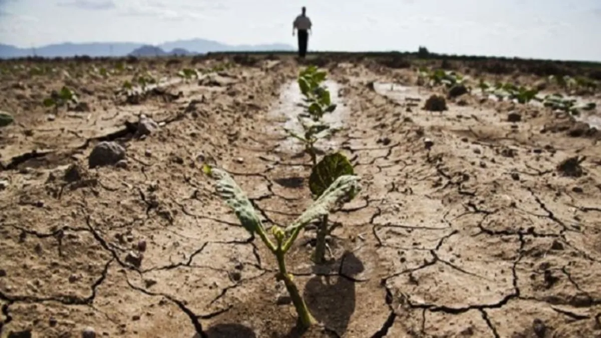5 bin kişi yağmur duasına çıktı! 12 koyun keserek hayır yemeği dağıttılar