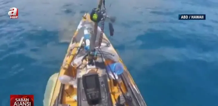 Balık tutan adama köpek balığı saldırdı! Korkunç anlar kamerada