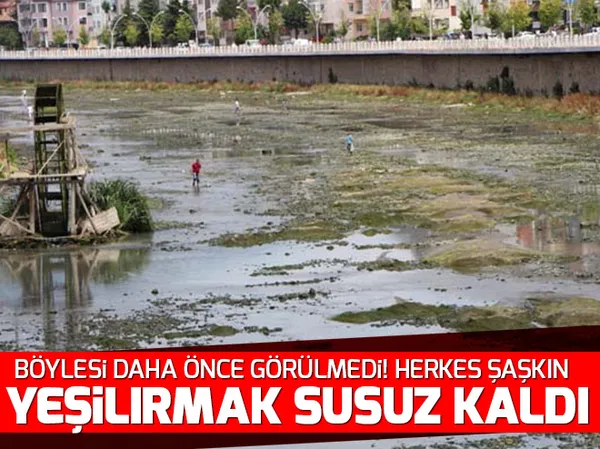 Taciz ettiği kadın dilini kopardı! Mahkemede flaş gelişme - 2