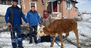 ’Sarıkız’ı satıp parasını depremzedelere bağışladı