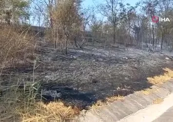Edirne'de otobanda fırlayan tır lastiği yangın çıkardı