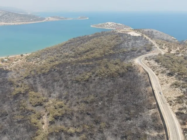 Son dakika: Türkiye’nin birçok yerinde ormanlara girmek yasaklandı! İşte o iller...