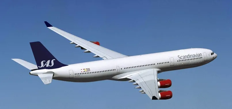 SAS uçağında yılan paniği yaşandı