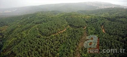 Orman Genel Müdürlüğü OGM 5 bin personel alımı ne zaman, başvuru şartları neler?