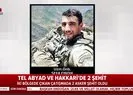 Tel Abyad ve Hakkaride 2 şehit |Video