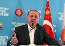 Erdoğan: Elindeki tüm imkanları kaybedeceksin!