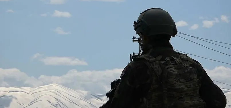 Van'da 2 terörist daha etkisiz hale getirildi