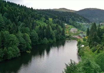 Doğu Karadeniz’i uçuracak proje! 11 ile 394 milyar TL kaynak | Neler desteklenecek?