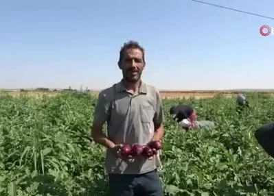 Yoldan geçen vatandaşlar için karpuz ekti