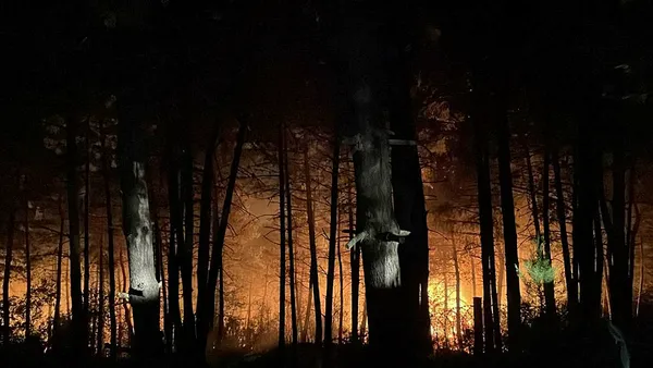 İstanbul Çekmeköy’de orman yangını! Ekiplerin müdahalesiyle kontrol altına alındı