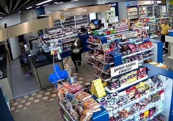 Sahibinin elinden kaçtı markete daldı! O anlar kamerada