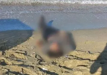 Sakarya'da derede erkek cesedi bulundu
