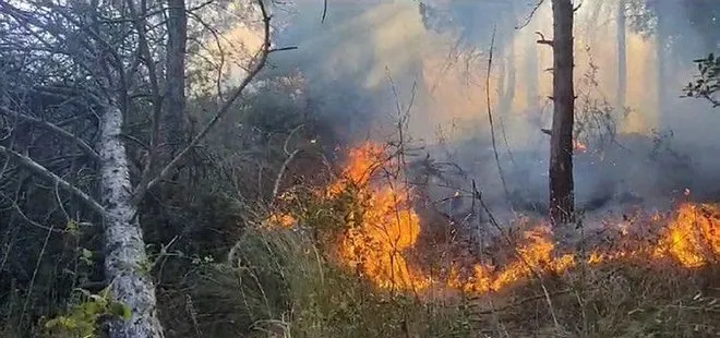 İstanbul Sultangazi’deki orman yangını kontrol altına alındı: Yaklaşık 10 dönüm alan kül oldu