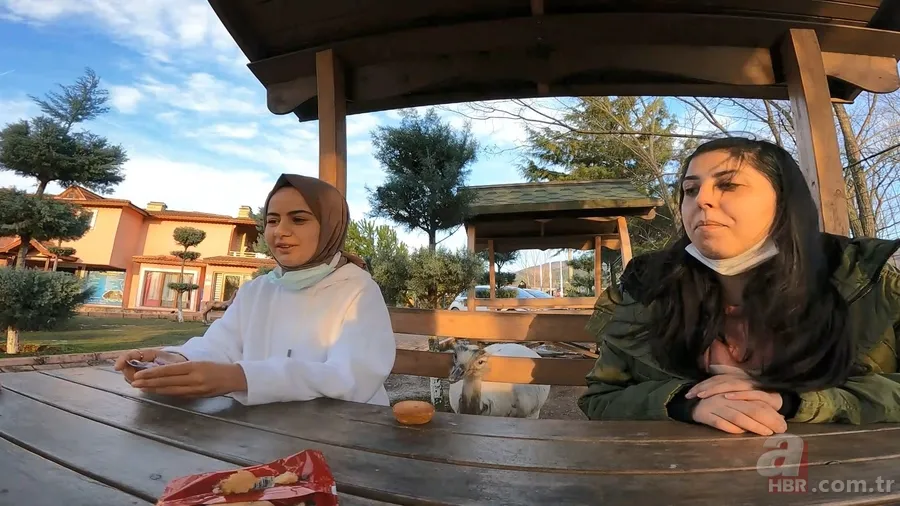 Her gün poğaçalar eksiliyordu! Bakın hırsız kim çıktı? Ne bulsa midesine indiriyor 5