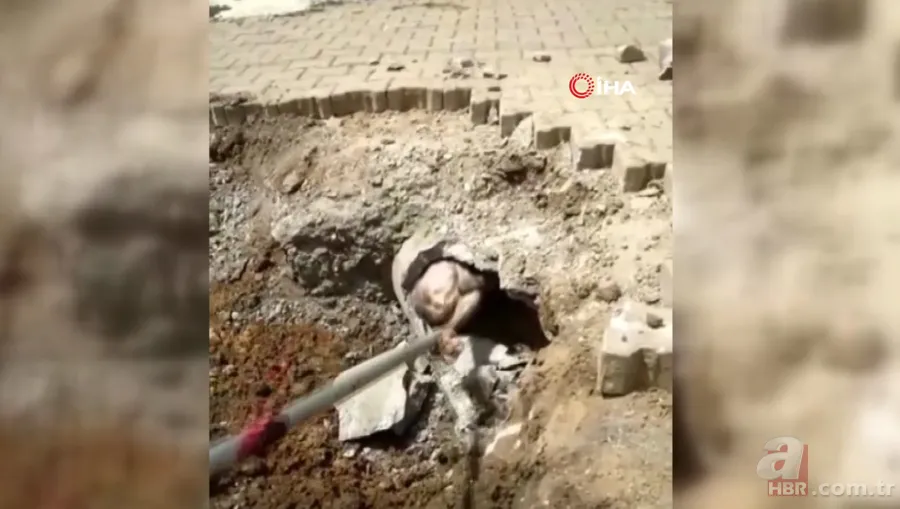 Yer altından gelen garip sesler ekipleri harekete geçirdi! Kanalizasyondan çıkan şoke etti 5