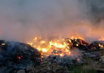 Artvin'deki yangının bilançosu açıklandı