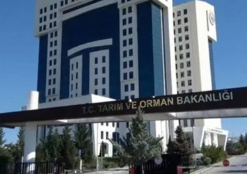 Tarım ve Orman Bakanı Vahit Kirişci'den sözleşmeli personel alımı müjdesi! Bin 200 istihdam sağlanacak
