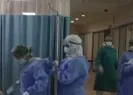 Koronavirüs müjdesi! Hastalık yapma ...