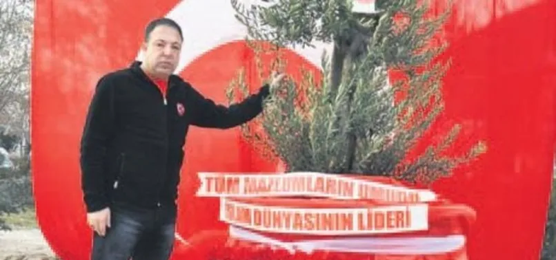 Cumhurbaşkanlığı Külliyesi’ne zeytin ağacı