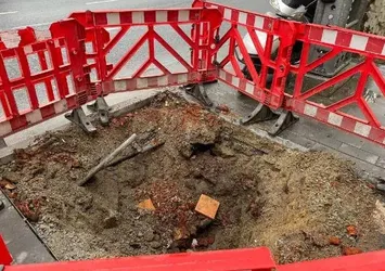 TEMA CHP'li İBB yönetiminin Dolmabahçe ve Çırağan Caddesi'ndeki ağaç katliamına sessiz kaldı