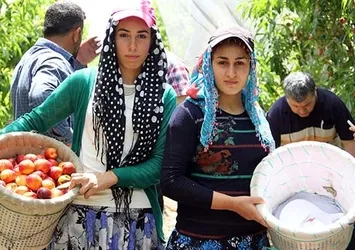 Ekmek parası için 03.30’da kalkıp yollara düşüyorlar