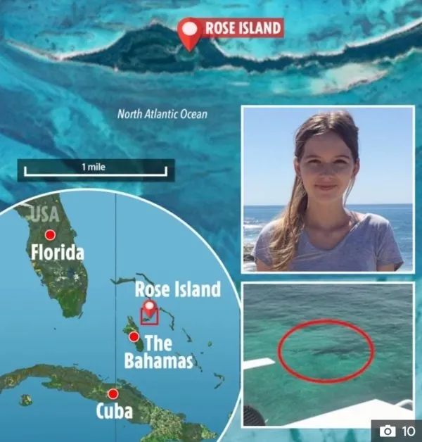 Bahamalar’da yüzen genç kız 3 köpek balığına yem oldu