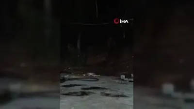 Bingöl’de şantiye alanına ayı girdi