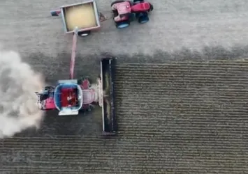 Buğday ve arpa alım fiyatı açıklandı! Üretici fiyatlara ne diyor?