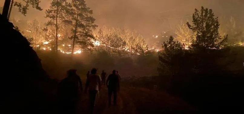 Muğla'daki orman yangınında yalan terörü!