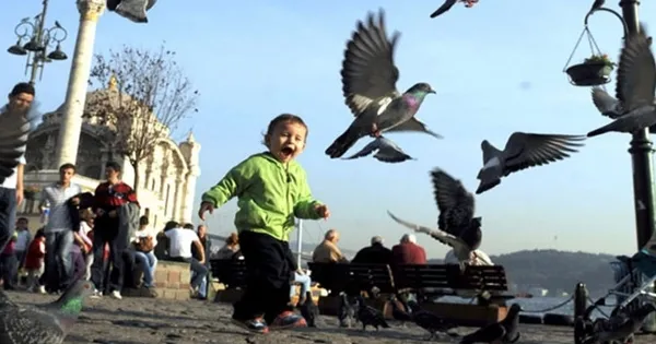 Meteoroloji kar yağacak illeri açıkladı! 6 Ocak'ta hava nasıl olacak! İstanbul'a kar yağacak mı? Ankara'ya kar yağacak mı? - 7