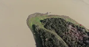 Alibeyköy Barajı’nda suyun rengi değişti