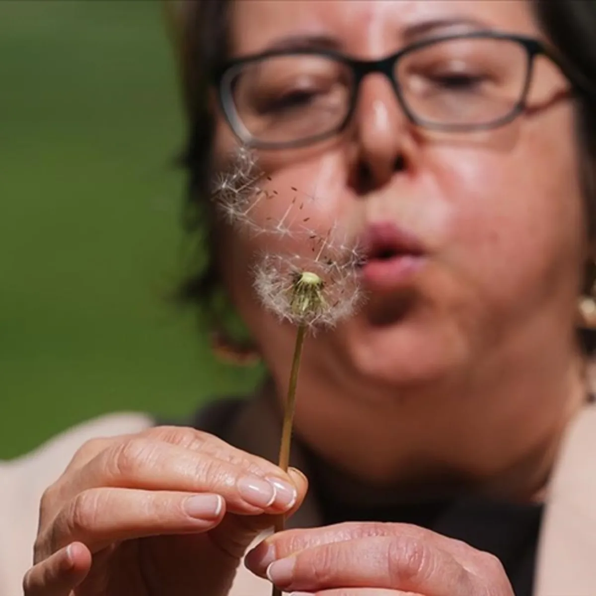 Polen alerjisi olanlar dikkat