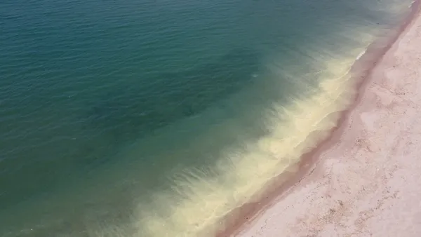 Son dakika: Karadeniz'de şaşırtan görüntü! Nedeni belli oldu