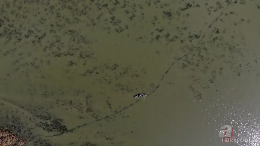 Uluabat Gölü yok olma tehlikesiyle karşı karşıya! 4