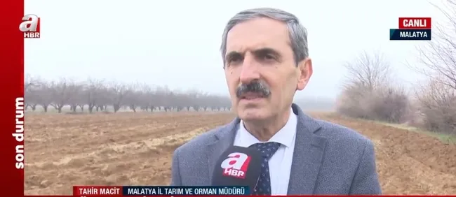 Türkiye Yüzyılı’nda tarım, ormancılık ve hayvancılık! A Haber ekipleri sahada