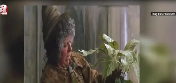 hollywood-yildizlarindan-israile-art-arda-tepki-1753716303219.jpg (fotoğraf -ahaber.com.tr - ekran görüntüsü)