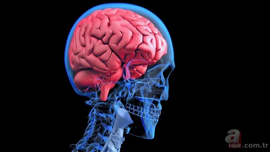 O çikolatadan bir ısırık alın! Zekayı ve hafızayı çalıştıran araştırma ortaya çıktı 7