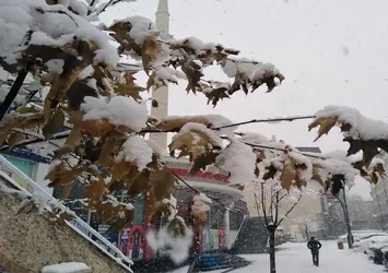 Bingöl'de kar yağışı etkili oldu