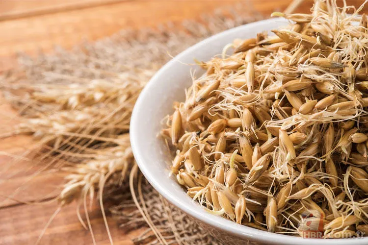 Hızlı kilo verme | Yağ yakan içecekler | Fazla kilolardan kurtulmak isteyenler dikkat! İşte uzmanlarından altın tavsiyeler 21