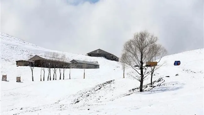 Muş'un yüksek kesimlerindeki köyler beyaza büründü - 3