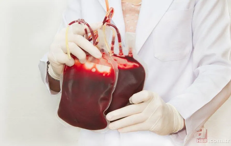 Hangi kan grubu nasıl beslenmeli? İşte kan grubunuza göre tüketmeniz gereken besinler... 16