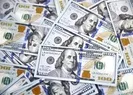 Hükümetten flaş dolar açıklaması