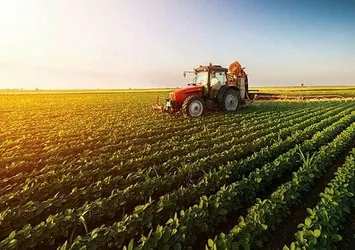 Ucuz gıda için dev üretim hamlesi! Tüm kurumlar harekete geçti