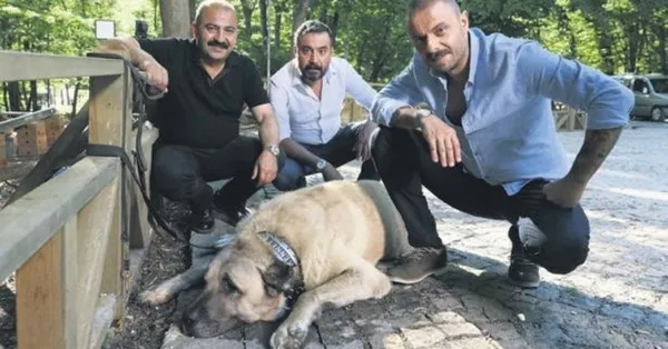 aman-reis-duymasin-filmi-konusu-nedir-aman-reis-duymasin-oyunculari-kimdir-1632218522527.jpeg Aman Reis Duymasın filmi konusu nedir? Aman Reis Duymasın oyuncuları kimdir? - 2