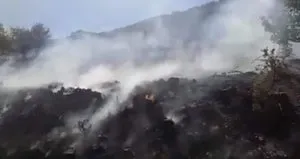 Mersin’de orman yangını!