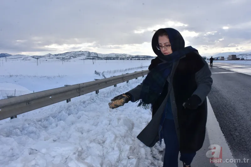 Gaziantep'te son durum nasıl? Yol temizleme çalışmalarından yeni görüntüler 1