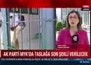 Hayvan hakları yasası tamam!