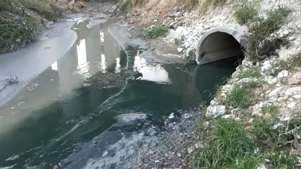 Bakanlık olaya el koydu! Arnavutköy'deki Şamlar Gölü'ne oluk oluk zehir akıttılar - 3